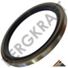 IVECO 2476049 Seal Ring, stub axle